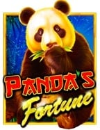 slot007 เล่น บน เว็บ สำหรับมือใหม่หัดปั่น